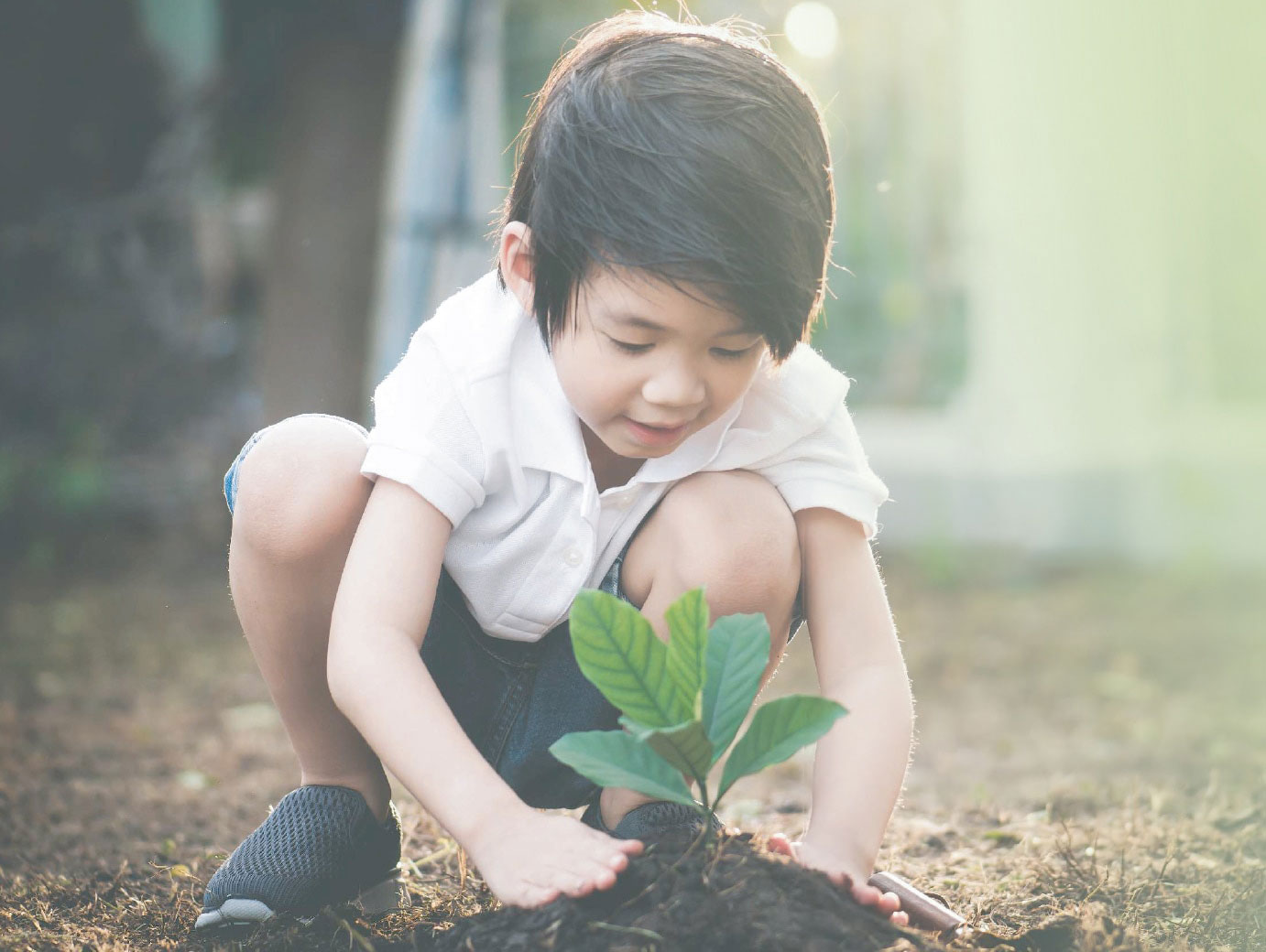 bg-sus-landing-mobile